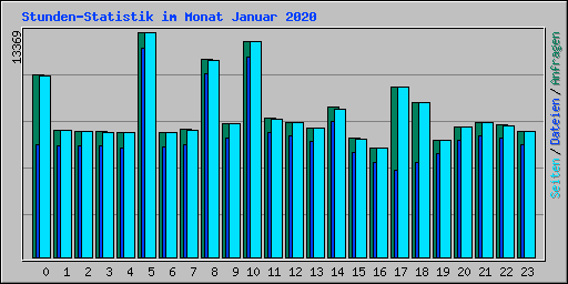 Stunden-Statistik im Monat Januar 2020