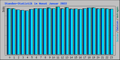 Stunden-Statistik im Monat Januar 2022