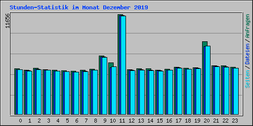 Stunden-Statistik im Monat Dezember 2019