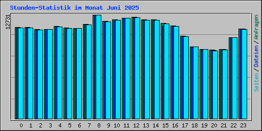 Stunden-Statistik im Monat Juni 2025